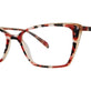 Red Cream Tortoise