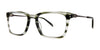 OGI SLAPSHOT Eyeglasses | Size 55 / Khaki Horn