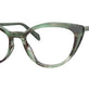 Green Earth Tortoise