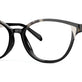 Black Ivory Tortoise