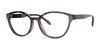 OGI SUGAR RUSH Eyeglasses | Size 53 / Havana Grey Tortoise