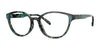 OGI SUGAR RUSH Eyeglasses | Size 53 / Green Blue Tortoise
