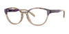 OGI SUGAR RUSH Eyeglasses | Size 53 / Violet Horn