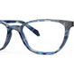 Blue Tortoise