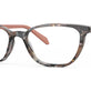 Pink Brown Tortoise