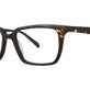 Black/Tortoise