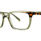 Green Tortoise