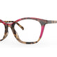 Blonde Red Tortoise
