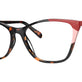 Red Tortoise