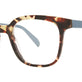 Tortoise / Steel Blue