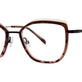 Blush Tortoise