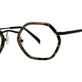 Black Tortoise