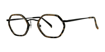 OGI WIND CHILL Eyeglasses Black Tortoise