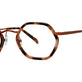 Copper Apricot Tortoise