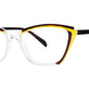 Tortoise/Yellow