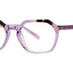 Violet Tortoise