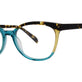 Teal Butter Tortoise