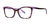 Violet Tortoise