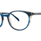 Blue Crunch Tortoise
