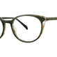 Clover Crunch Tortoise