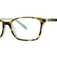Mint Tortoise