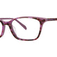 Plum Tortoise