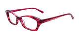 Paradox P5004 Eyeglasses | Size 52