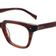 Marbled Brown