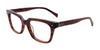 Paradox P5011 Eyeglasses | Size 51 / Marbled Brown
