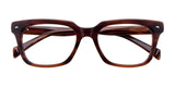 Paradox P5011 Eyeglasses | Size 51