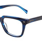 Marbled Blue