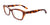 Paradox P5021 Eyeglasses | Size 52 / Demi Brown
