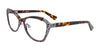 Paradox P5025 Eyeglasses | Size 53 / Demi Amber & Steel Blue & Grey