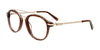 Paradox P5027 Eyeglasses | Size 49 / Brown & Black & Gold
