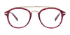 Paradox P5027 Eyeglasses | Size 49 / Black & Crystal