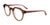 Paradox P5033 Eyeglasses | Size 47 / Brown Crystal & Light Brown
