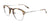 Paradox P5042 Eyeglasses | Size 49 / Demi Brown & Steel