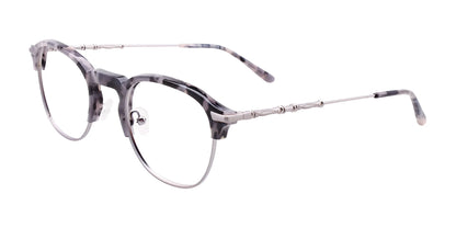 Paradox P5042 Eyeglasses Demi Grey & Steel
