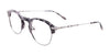 Paradox P5042 Eyeglasses | Size 49 / Demi Grey & Steel