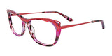 Paradox P5049 Eyeglasses | Size 52