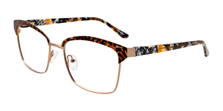 Paradox P5073 Eyeglasses Matt Browntortoise & Matt Light Gold