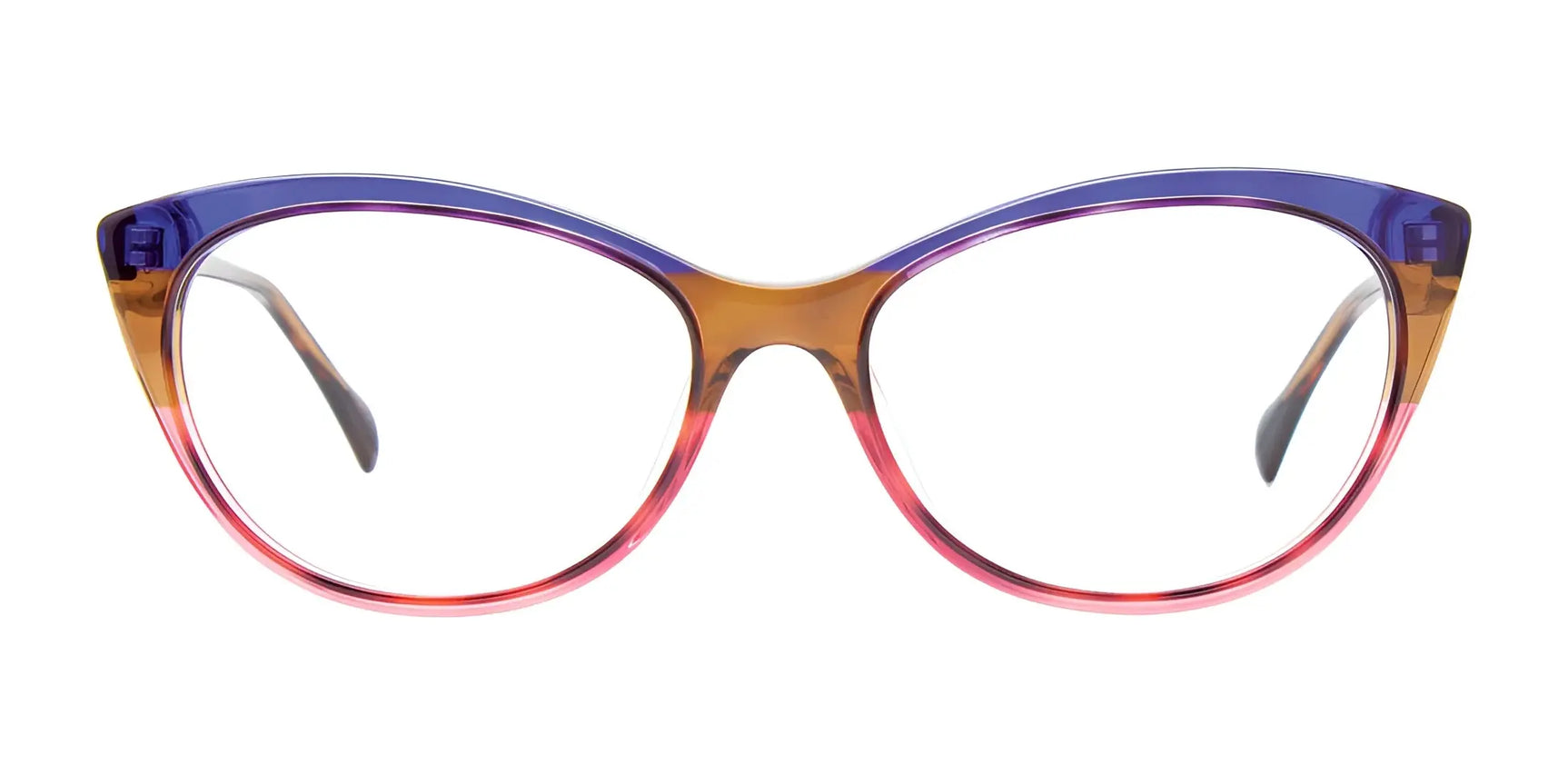 Paradox P5076 Eyeglasses | Size 54