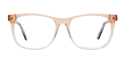 Paradox P5079 Eyeglasses | Size 53