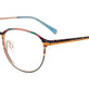 St Multicolor & Grey Tortoise