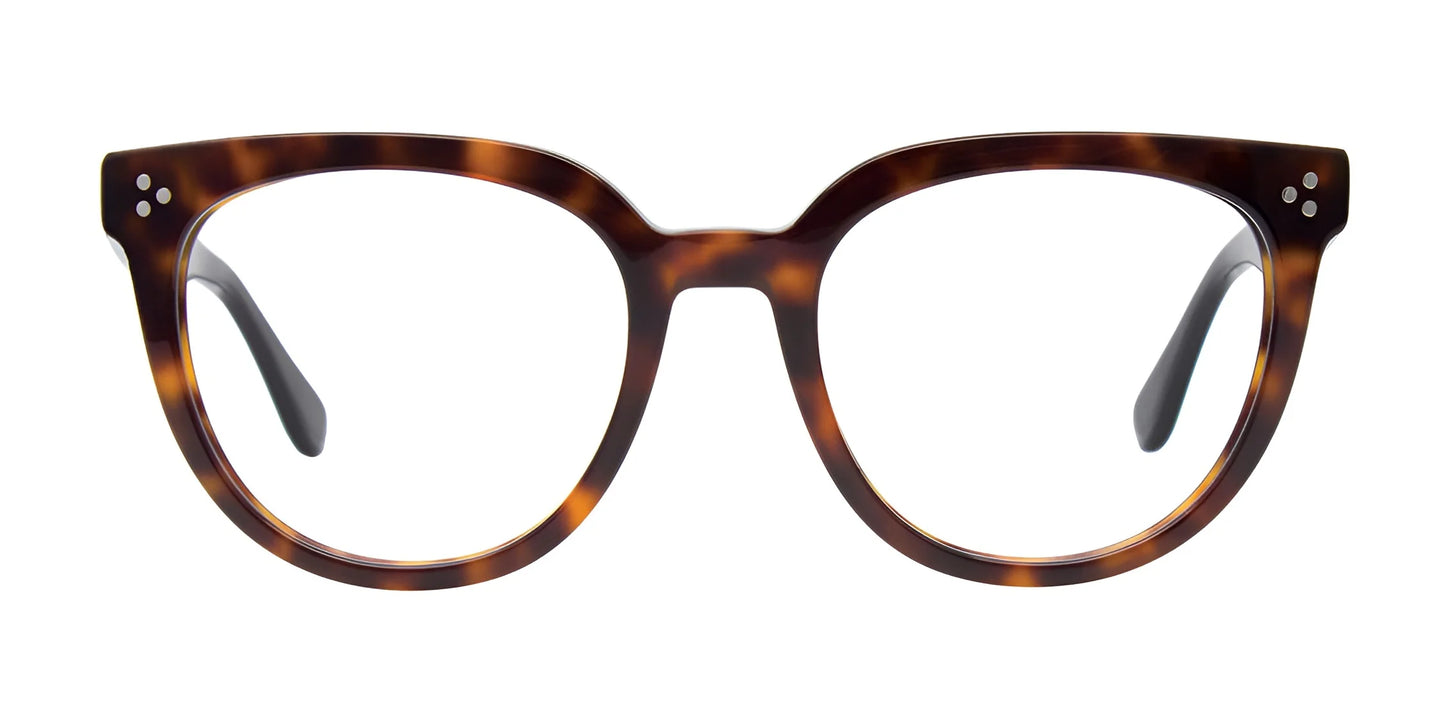 Paradox P5090 Eyeglasses | Size 53