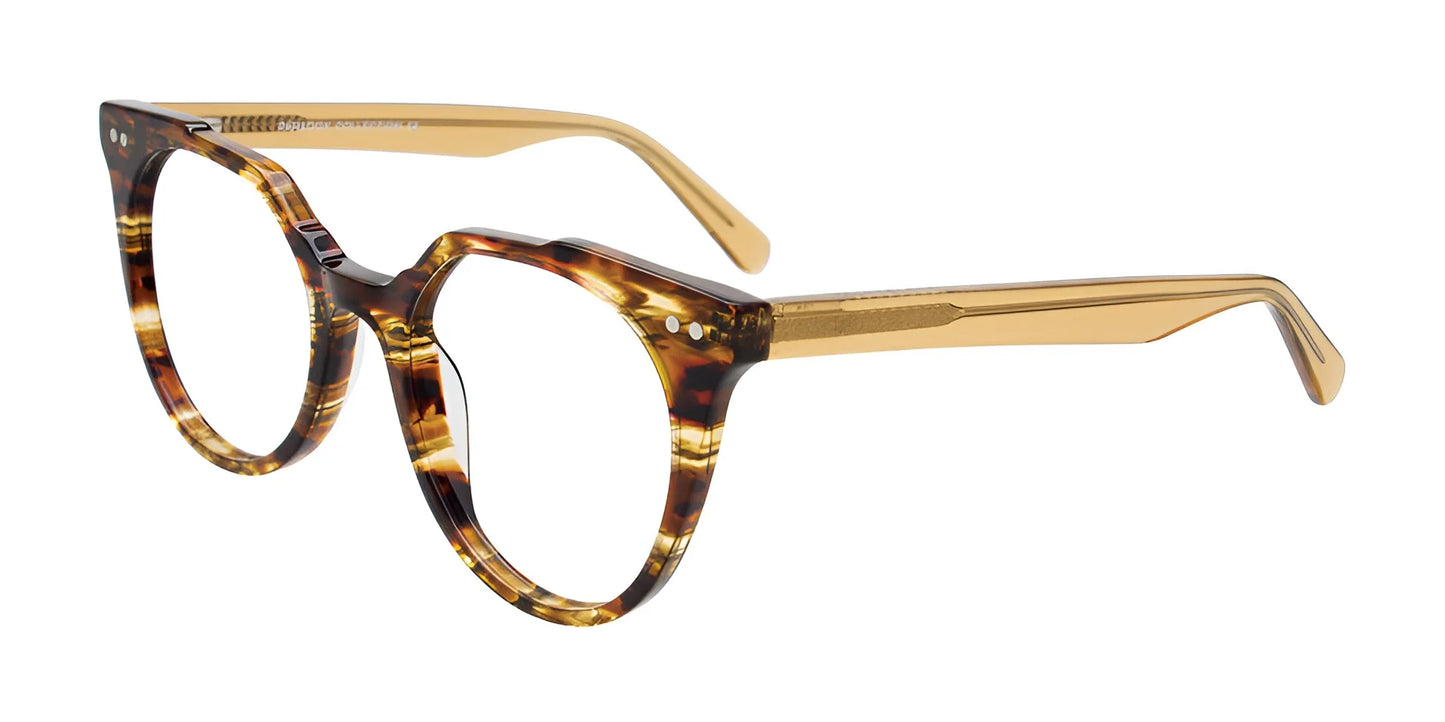 Paradox P5092 Eyeglasses Tr. Khaki & St. Tor