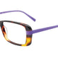 Tortoise & Purple