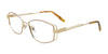 Paradox P5100 Eyeglasses | Size 54