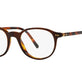 Shiny Brown On Yellow Havana