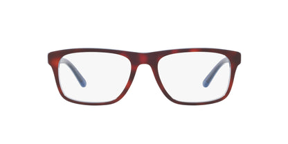 Polo PH2211 Eyeglasses | Size 55